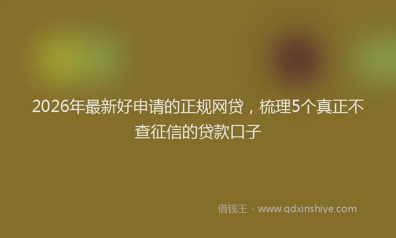 2026年最新好申请的正规网贷，梳理5个真正不查征信的贷款口子