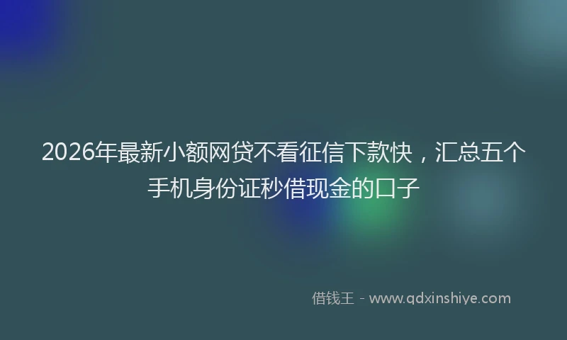 2026年最新小额网贷不看征信下款快，汇总五个手机身份证秒借现金的口子