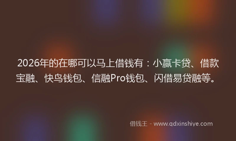 2026年的在哪可以马上借钱有:小赢卡贷、借款宝融、快鸟钱包、信融Pro钱包、闪借易贷融等。
