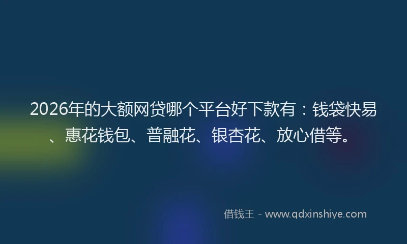 2026年的大额网贷哪个平台好下款有:钱袋快易、惠花钱包、普融花、银杏花、放心借等。