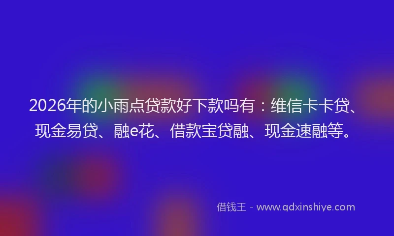 2026年的小雨点贷款好下款吗有：维信卡卡贷、现金易贷、融e花、借款宝贷融、现金速融等。