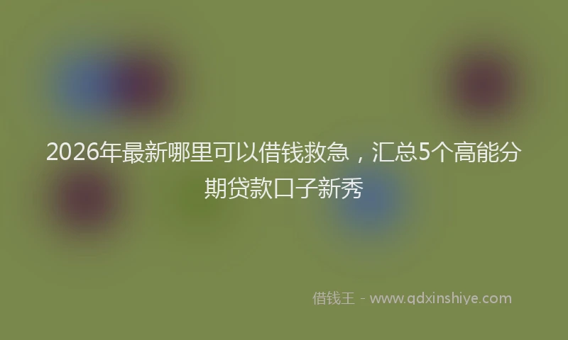2026年最新哪里可以借钱救急,汇总5个高能分期贷款口子新秀