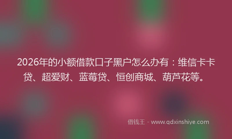 2026年的小额借款口子黑户怎么办有：维信卡卡贷、超爱财、蓝莓贷、恒创商城、葫芦花等。