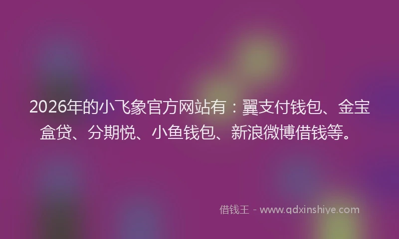 2026年的小飞象官方网站有：翼支付钱包、金宝盒贷、分期悦、小鱼钱包、新浪微博借钱等。