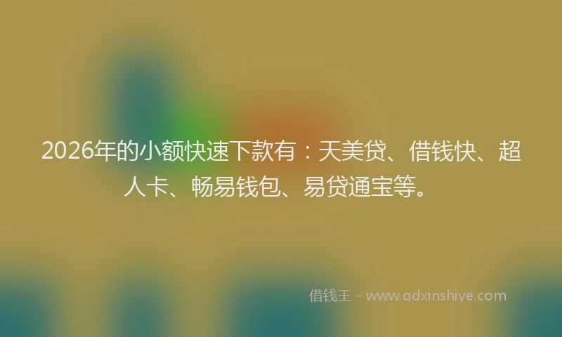 2026年的小额快速下款有：天美贷、借钱快、超人卡、畅易钱包、易贷通宝等。