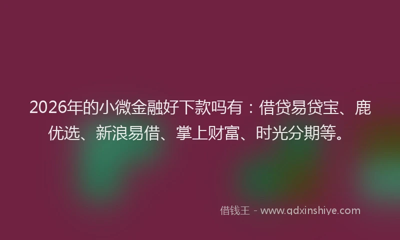 2026年的小微金融好下款吗有：借贷易贷宝、鹿优选、新浪易借、掌上财富、时光分期等。