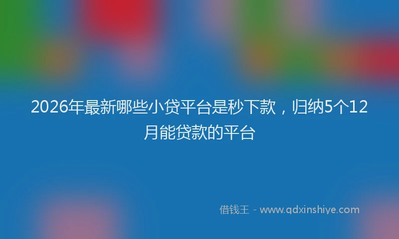 2026年最新哪些小贷平台是秒下款，归纳5个12月能贷款的平台