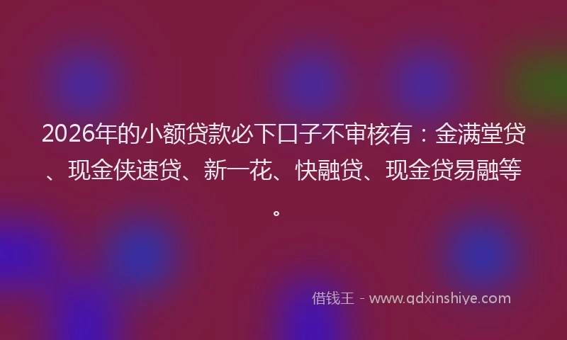 2026年的小额贷款必下口子不审核有：金满堂贷、现金侠速贷、新一花、快融贷、现金贷易融等。
