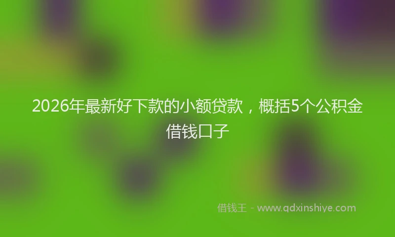 2026年最新好下款的小额贷款，概括5个公积金借钱口子