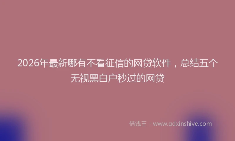 2026年最新哪有不看征信的网贷软件，总结五个无视黑白户秒过的网贷