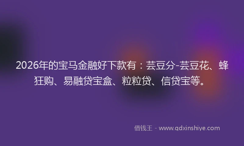 2026年的宝马金融好下款有：芸豆分-芸豆花、蜂狂购、易融贷宝盒、粒粒贷、信贷宝等。