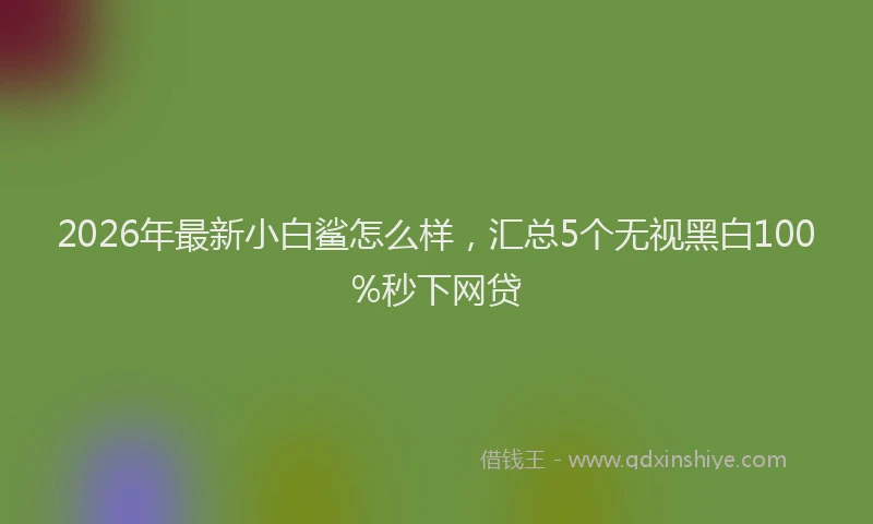 2026年最新小白鲨怎么样，汇总5个无视黑白100%秒下网贷