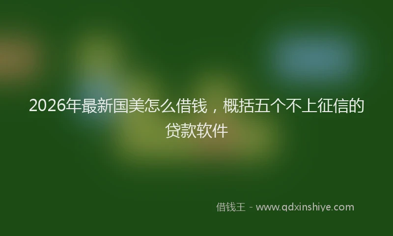 2026年最新国美怎么借钱,概括五个不上征信的贷款软件