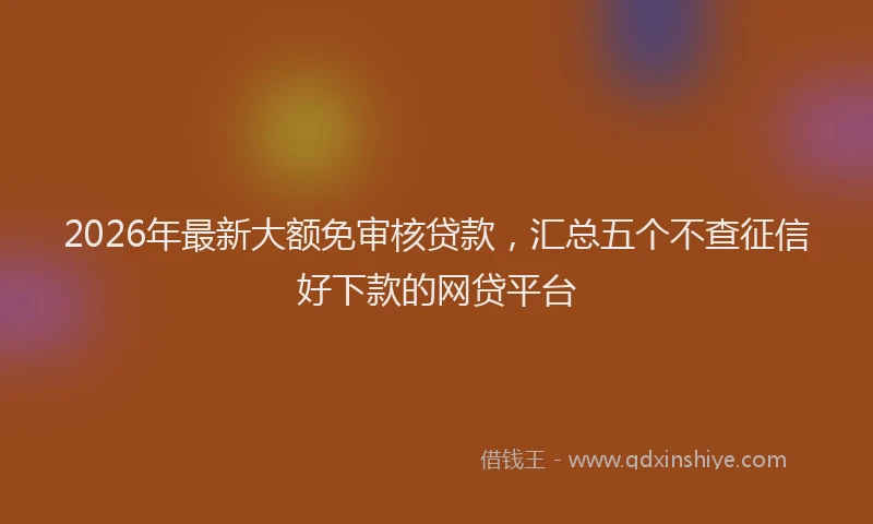 2026年最新大额免审核贷款，汇总五个不查征信好下款的网贷平台