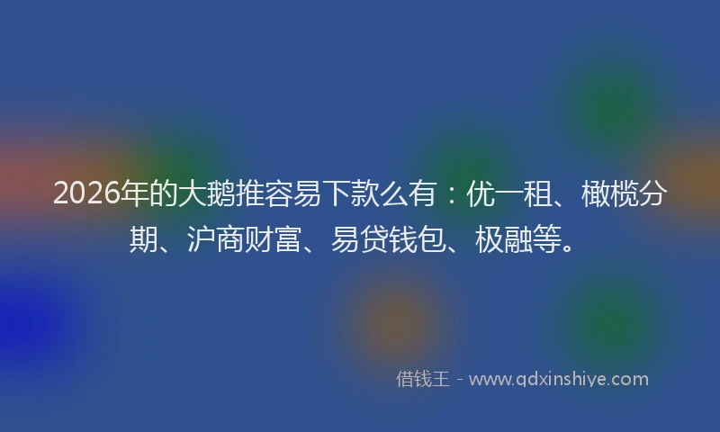 2026年的大鹅推容易下款么有：优一租、橄榄分期、沪商财富、易贷钱包、极融等。