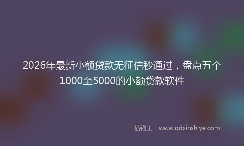 2026年最新小额贷款无征信秒通过，盘点五个1000至5000的小额贷款软件