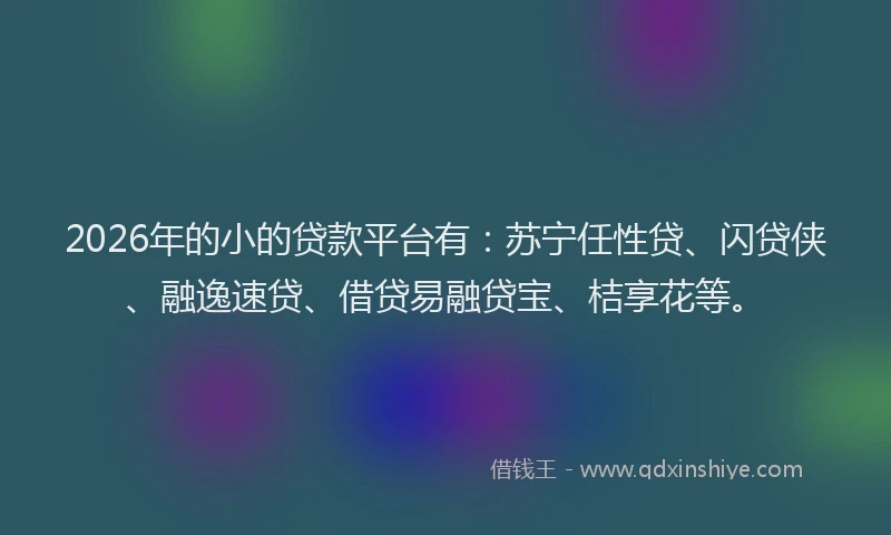 2026年的小的贷款平台有：苏宁任性贷、闪贷侠、融逸速贷、借贷易融贷宝、桔享花等。