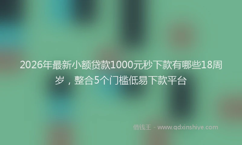 2026年最新小额贷款1000元秒下款有哪些18周岁，整合5个门槛低易下款平台