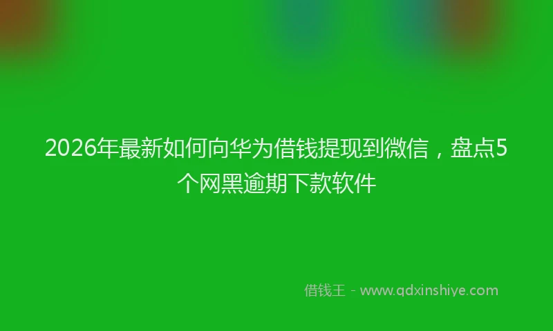 2026年最新如何向华为借钱提现到微信，盘点5个网黑逾期下款软件