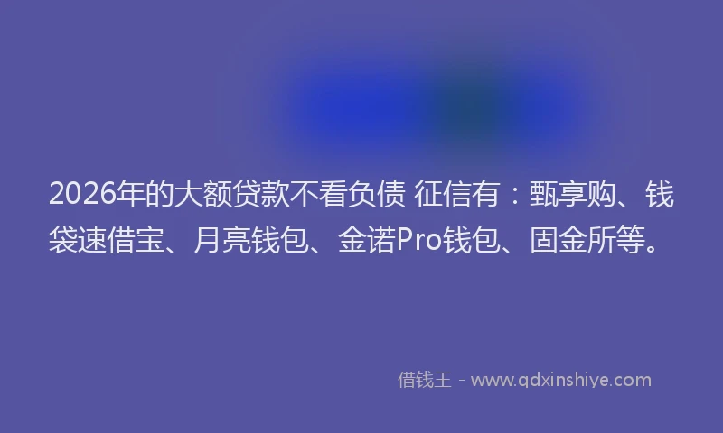 2026年的大额贷款不看负债 征信有:甄享购、钱袋速借宝、月亮钱包、金诺Pro钱包、固金所等。