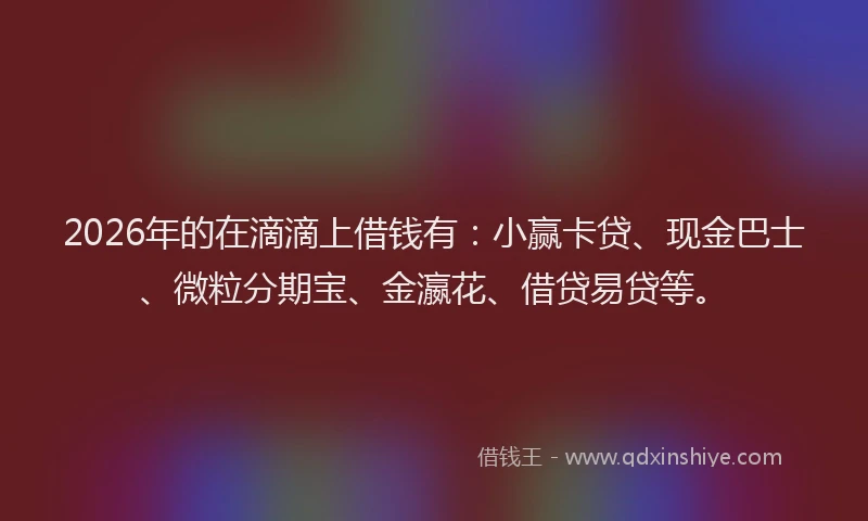 2026年的在滴滴上借钱有:小赢卡贷、现金巴士、微粒分期宝、金瀛花、借贷易贷等。