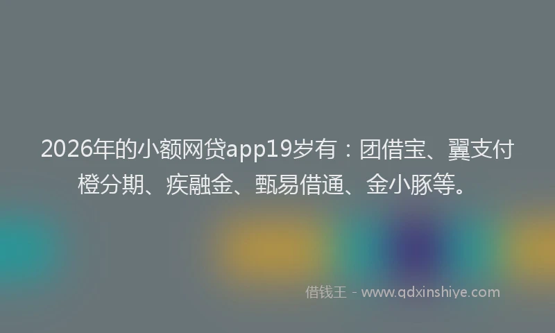 2026年的小额网贷app19岁有：团借宝、翼支付橙分期、疾融金、甄易借通、金小豚等。