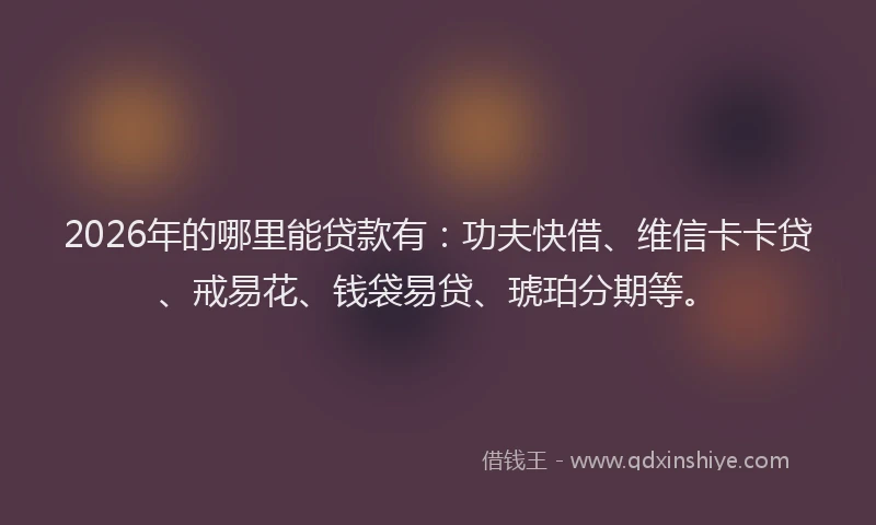 2026年的哪里能贷款有:功夫快借、维信卡卡贷、戒易花、钱袋易贷、琥珀分期等。