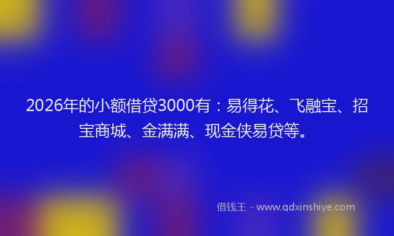 2026年的小额借贷3000有：易得花、飞融宝、招宝商城、金满满、现金侠易贷等。