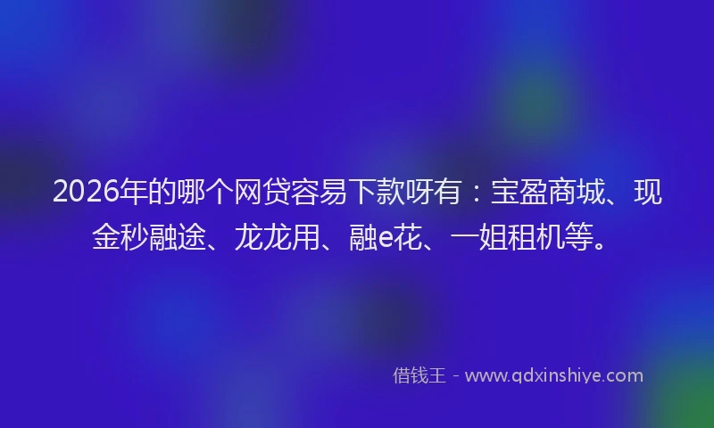 2026年的哪个网贷容易下款呀有：宝盈商城、现金秒融途、龙龙用、融e花、一姐租机等。