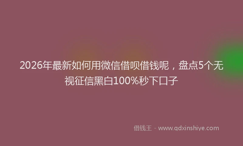 2026年最新如何用微信借呗借钱呢，盘点5个无视征信黑白100%秒下口子