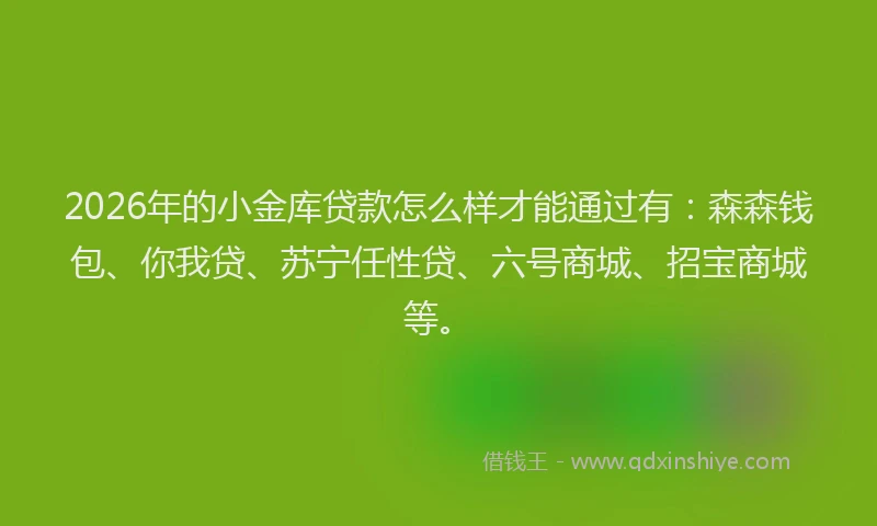 2026年的小金库贷款怎么样才能通过有：森森钱包、你我贷、苏宁任性贷、六号商城、招宝商城等。