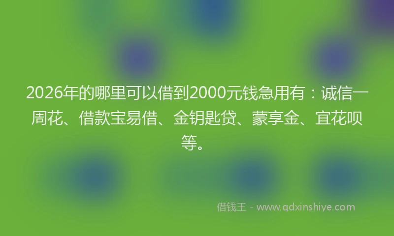 2026年的哪里可以借到2000元钱急用有:诚信一周花、借款宝易借、金钥匙贷、蒙享金、宜花呗等。
