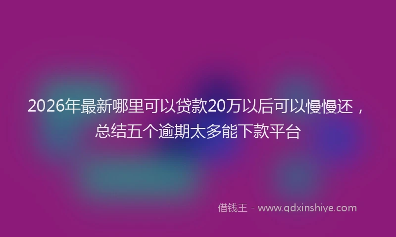 2026年最新哪里可以贷款20万以后可以慢慢还，总结五个逾期太多能下款平台