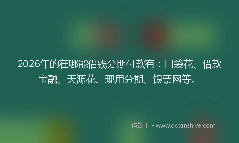 2026年的在哪能借钱分期付款有:口袋花、借款宝融、天源花、现用分期、银票网等。