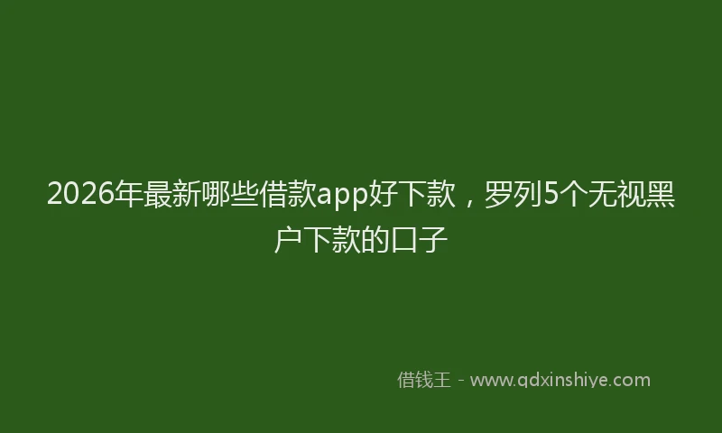 2026年最新哪些借款app好下款，罗列5个无视黑户下款的口子