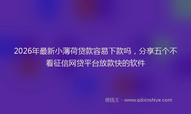 2026年最新小薄荷贷款容易下款吗，分享五个不看征信网贷平台放款快的软件