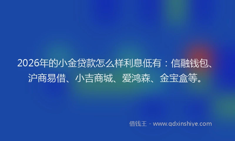 2026年的小金贷款怎么样利息低有：信融钱包、沪商易借、小吉商城、爱鸿森、金宝盒等。
