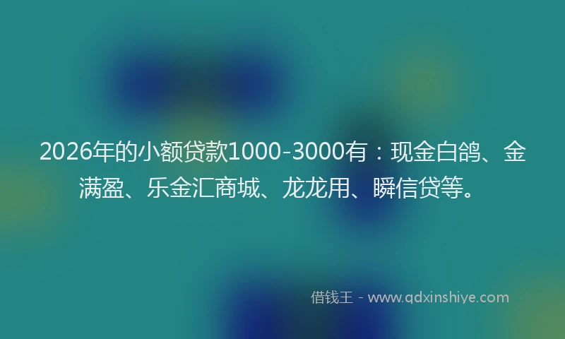 2026年的小额贷款1000-3000有：现金白鸽、金满盈、乐金汇商城、龙龙用、瞬信贷等。