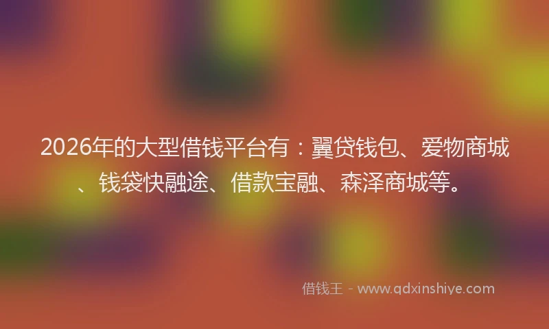 2026年的大型借钱平台有:翼贷钱包、爱物商城、钱袋快融途、借款宝融、森泽商城等。