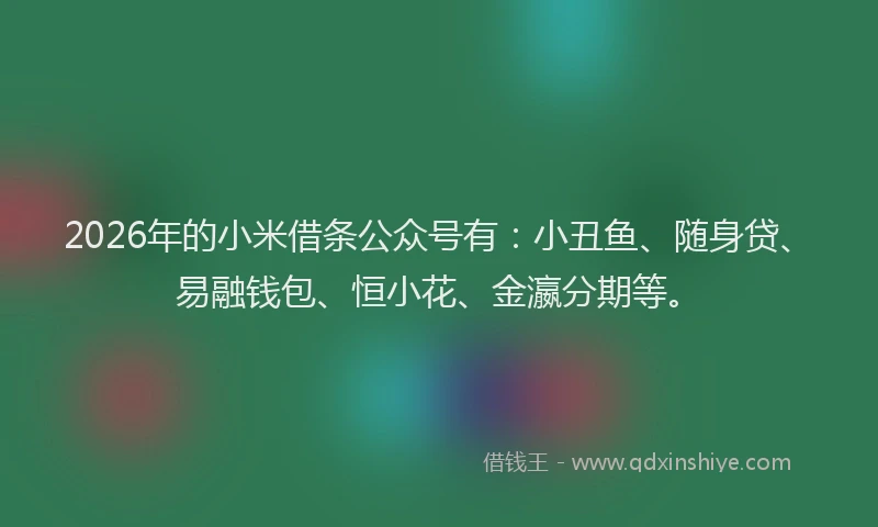 2026年的小米借条公众号有：小丑鱼、随身贷、易融钱包、恒小花、金瀛分期等。