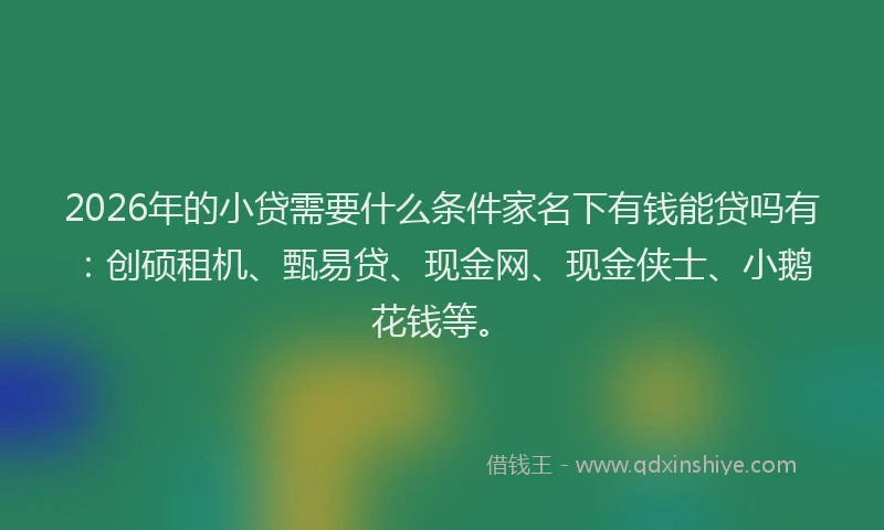 2026年的小贷需要什么条件家名下有钱能贷吗有：创硕租机、甄易贷、现金网、现金侠士、小鹅花钱等。