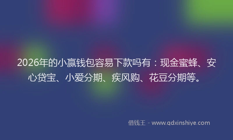 2026年的小赢钱包容易下款吗有：现金蜜蜂、安心贷宝、小爱分期、疾风购、花豆分期等。