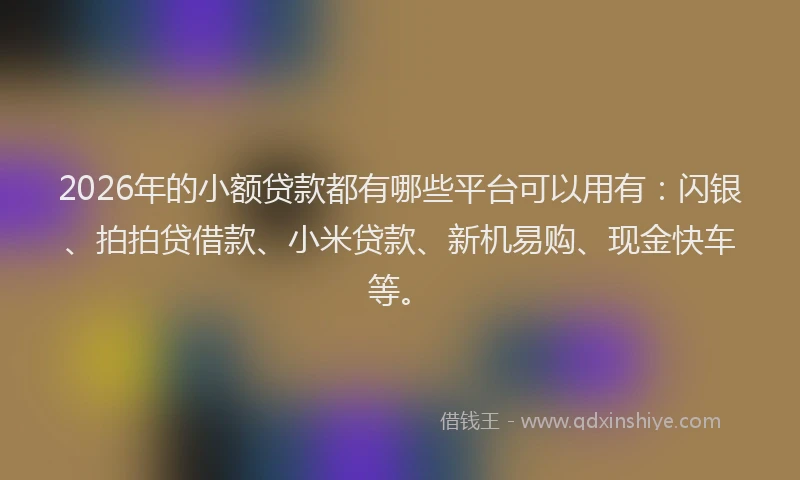 2026年的小额贷款都有哪些平台可以用有：闪银、拍拍贷借款、小米贷款、新机易购、现金快车等。