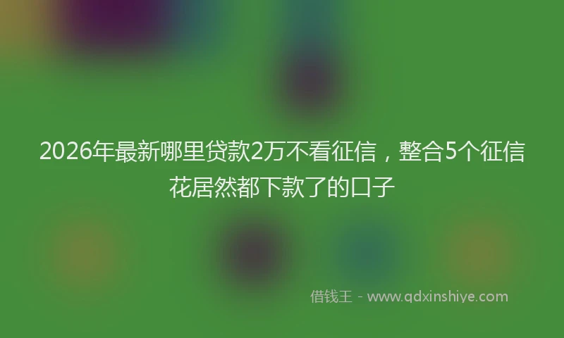 2026年最新哪里贷款2万不看征信,整合5个征信花居然都下款了的口子