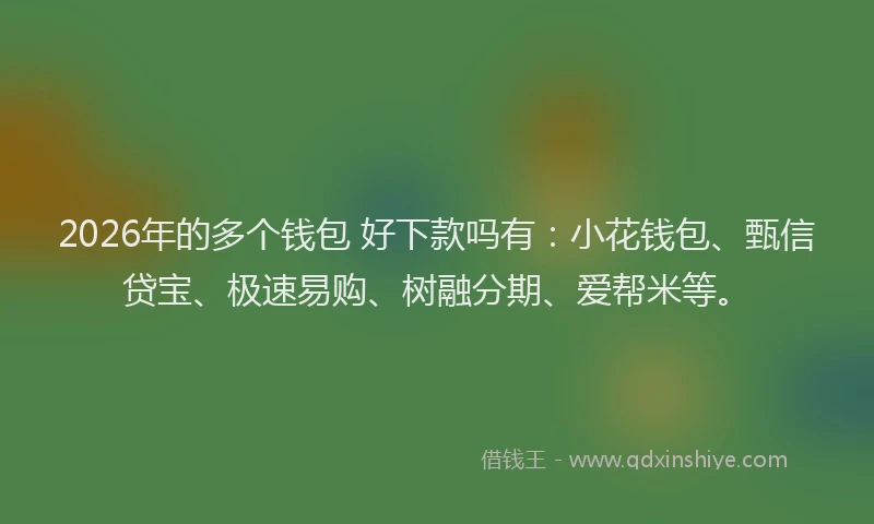 2026年的多个钱包 好下款吗有：小花钱包、甄信贷宝、极速易购、树融分期、爱帮米等。