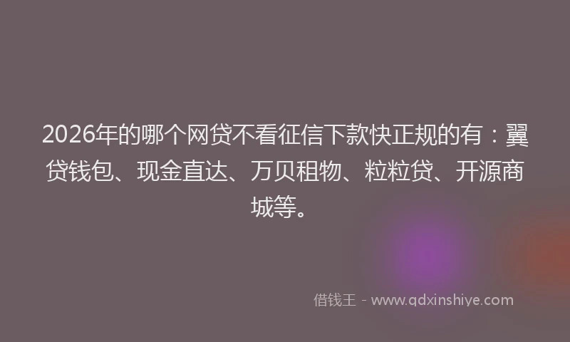 2026年的哪个网贷不看征信下款快正规的有：翼贷钱包、现金直达、万贝租物、粒粒贷、开源商城等。