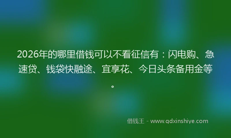 2026年的哪里借钱可以不看征信有:闪电购、急速贷、钱袋快融途、宜享花、今日头条备用金等。