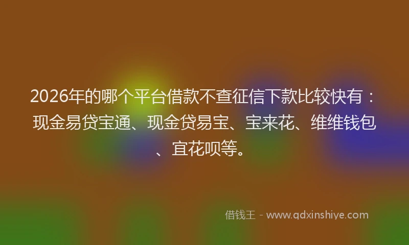 2026年的哪个平台借款不查征信下款比较快有:现金易贷宝通、现金贷易宝、宝来花、维维钱包、宜花呗等。
