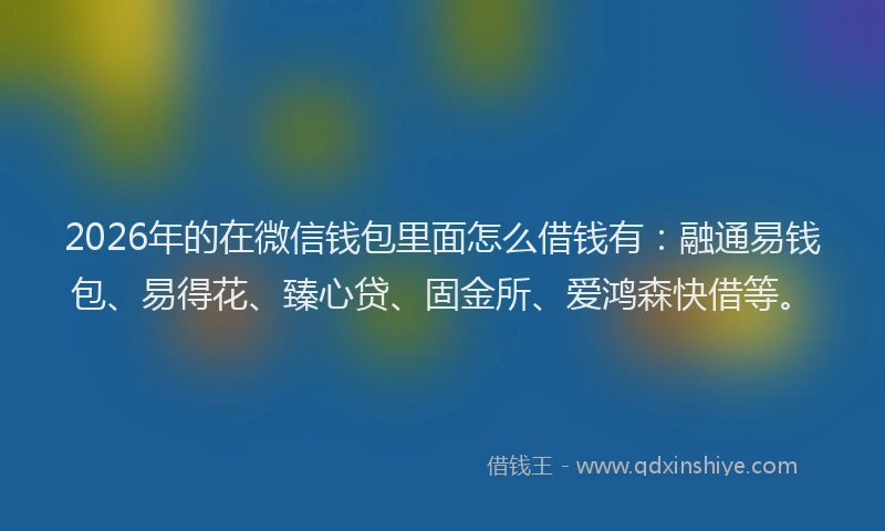 2026年的在微信钱包里面怎么借钱有:融通易钱包、易得花、臻心贷、固金所、爱鸿森快借等。