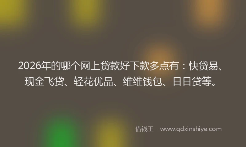 2026年的哪个网上贷款好下款多点有：快贷易、现金飞贷、轻花优品、维维钱包、日日贷等。